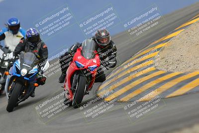 media/Jan-14-2023-SoCal Trackdays (Sat) [[497694156f]]/Turn 12 (120pm)/